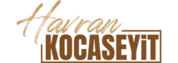 Havran Kocaseyit